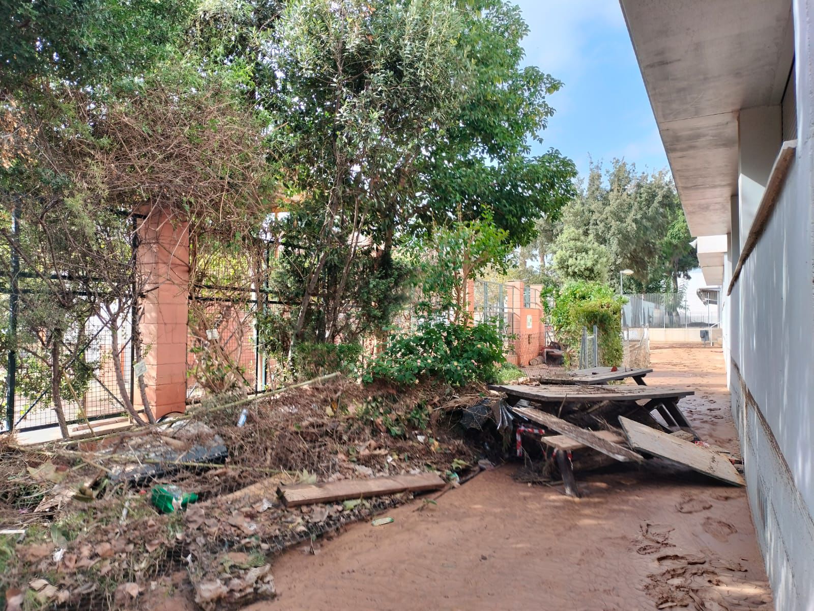 La Asociación Paisaje Mediterráneo pone en marcha una iniciativa para reconstruir los jardines y huertos de los colegios afectados por la DANA